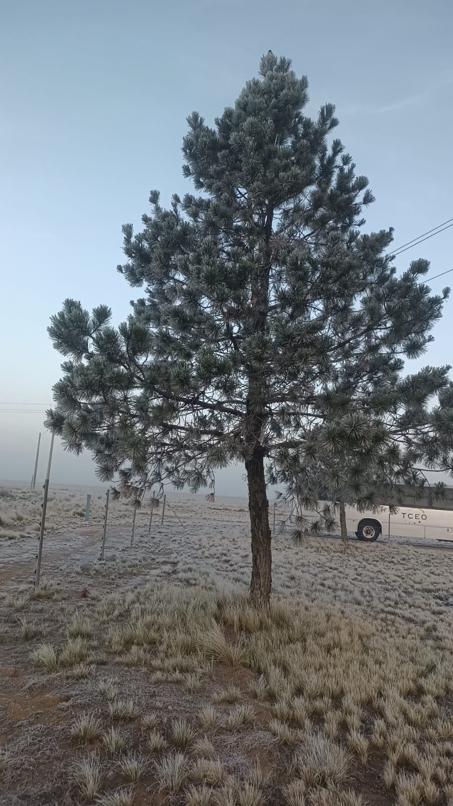 Se registran heladas en municipio de Jalacingo