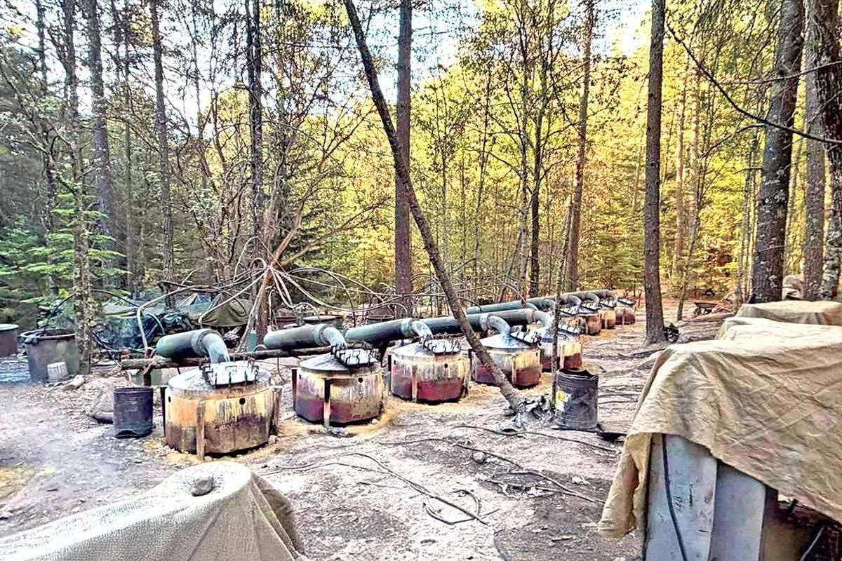 FGR golpea al narco; asegura precursores y decomisa equipo industrial